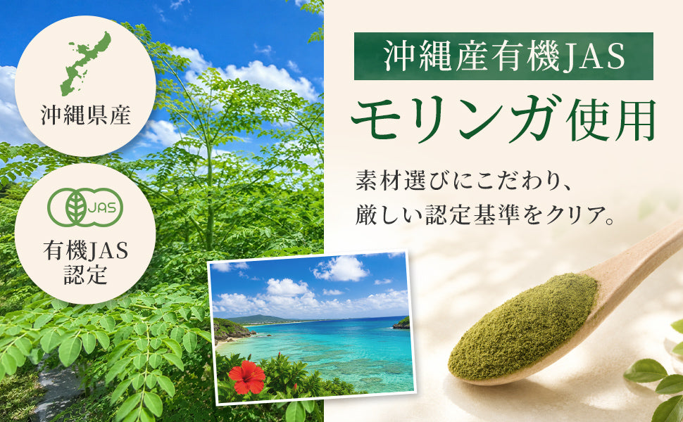 沖縄やんばる産地